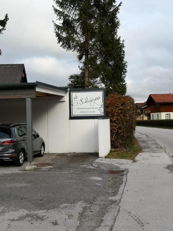 Die Schladmingerin Eksteriør billede